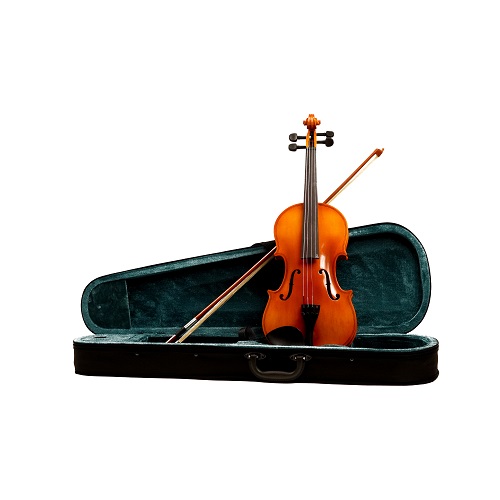 Procraft Acoustic Violin
