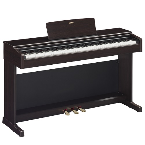 Yamaha YDP-145 Arius Digital Piano (Including Power Adaptor, Bench )